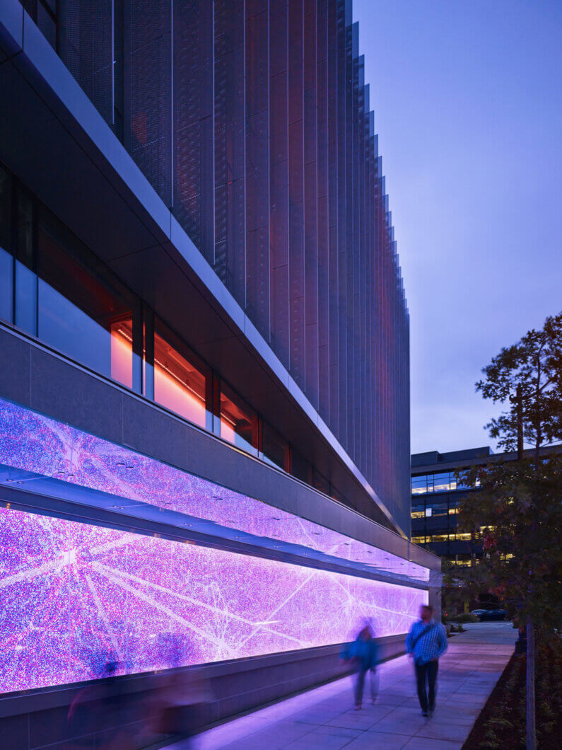 Illuminated graphic on exterior wall of the Allen Institute