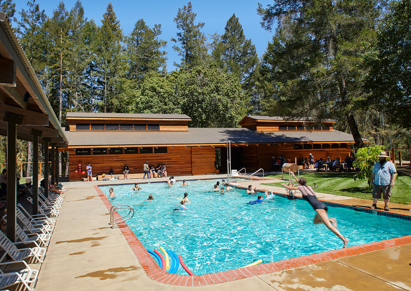 a person dives into a swimming pool in a forest