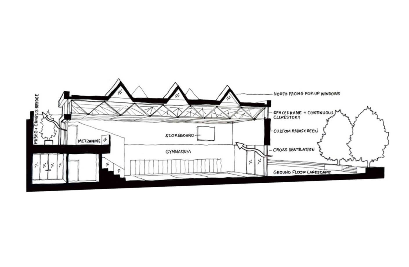 Cross-sectional architectural drawing of a gymnasium-like space with labeled features like mezzanine and clerestory windows.