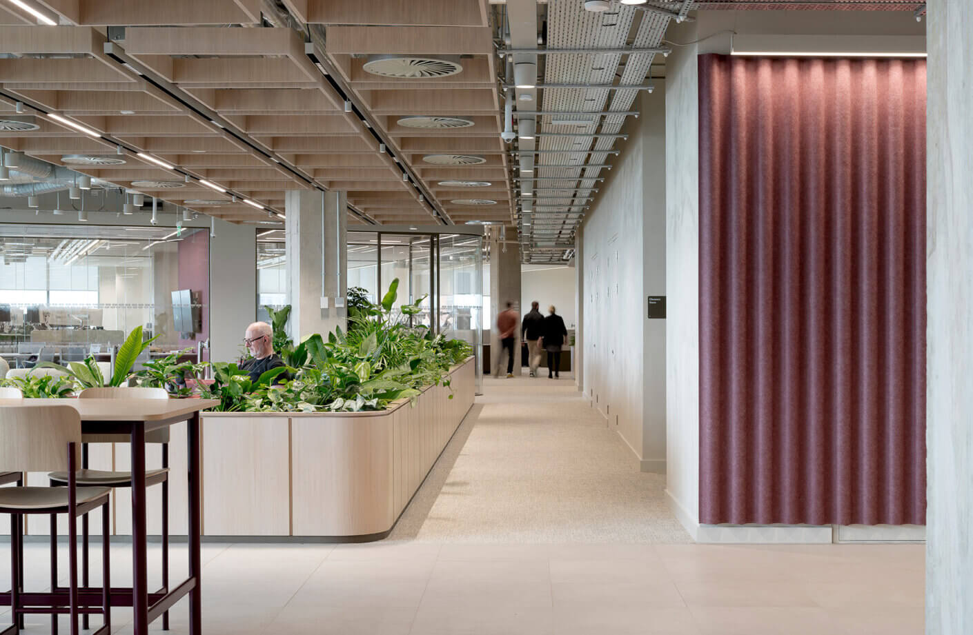 Modern office interior with greenery and open-plan design.