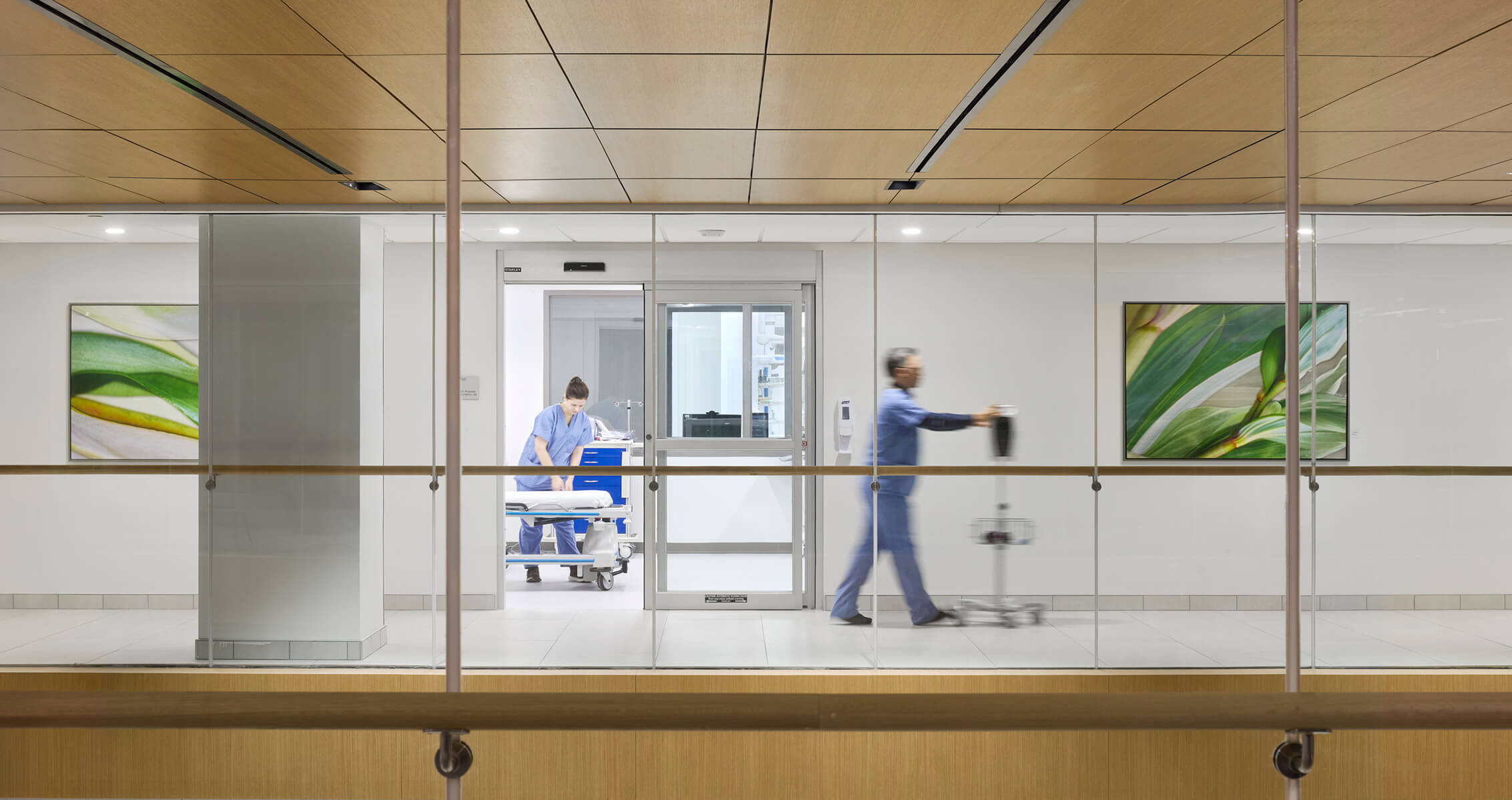 Medical workers move equipment in a warm wood and glass hallway decorated with photographs of plant life