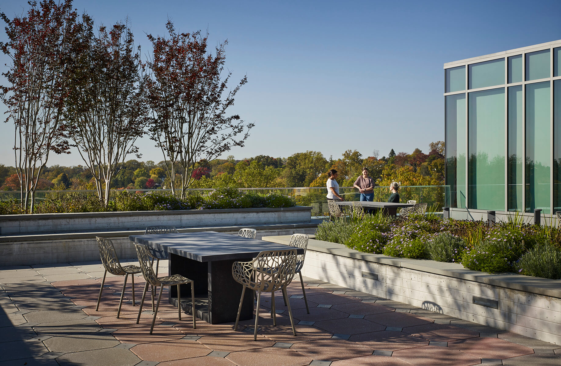 Rooftop garden with tables, chairs, and people enjoying a sunny day amid greenery.