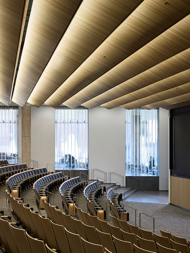 Modern lecture hall with tiered seating and sleek wooden ceiling design.