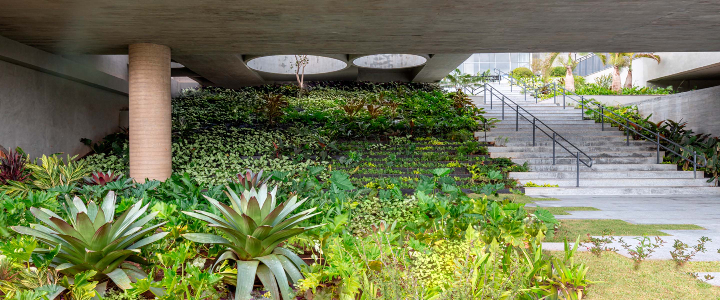 Modern outdoor atrium with lush greenery and concrete steps.