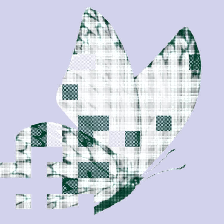 Pixelated butterfly on a purple background with fragmented design elements.