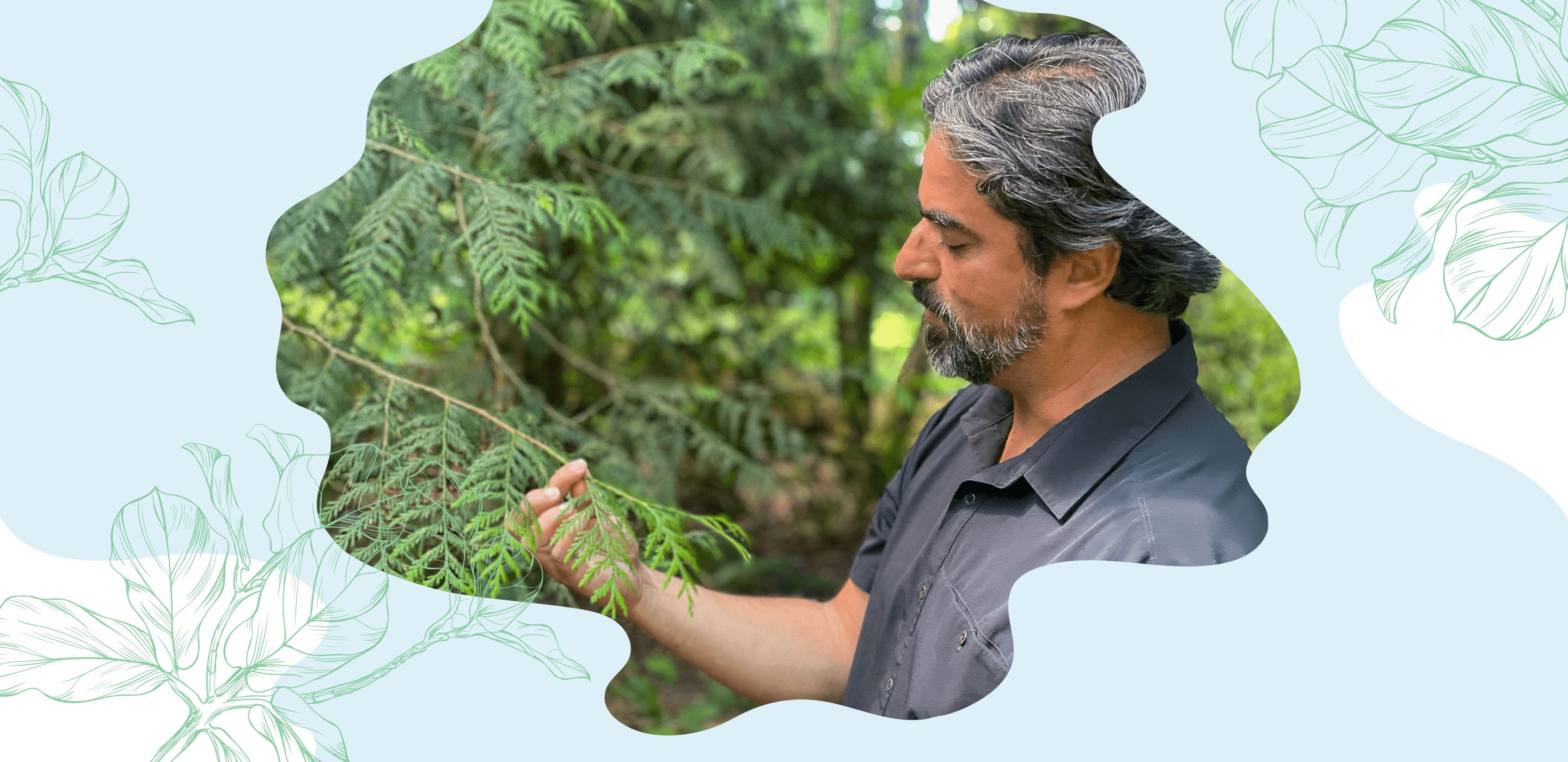 Man examining tree branch in forest setting.