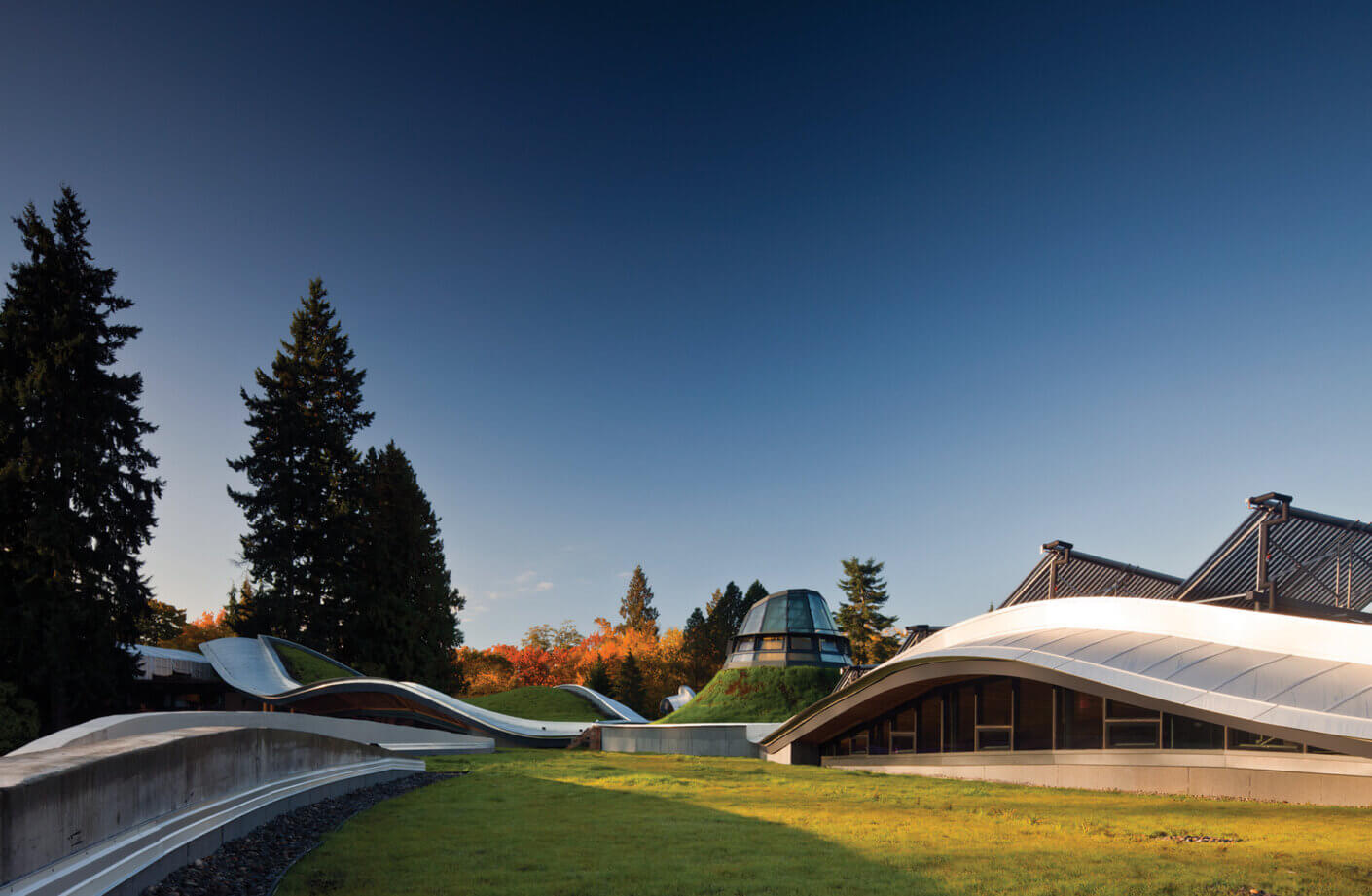 A series of curvilinear rooftops and green hills blend into the landscape, framed by evergreens and under a clear blue sky.