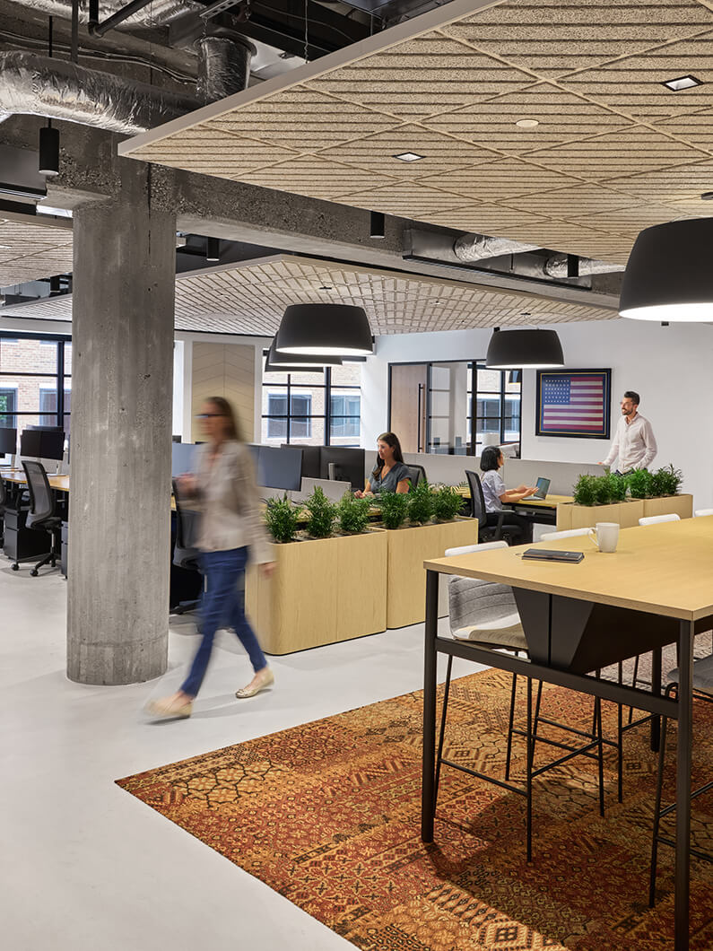 Open office space featuring desks, greenery, and a patterned rug, with employees engaged in various tasks and collaboration.