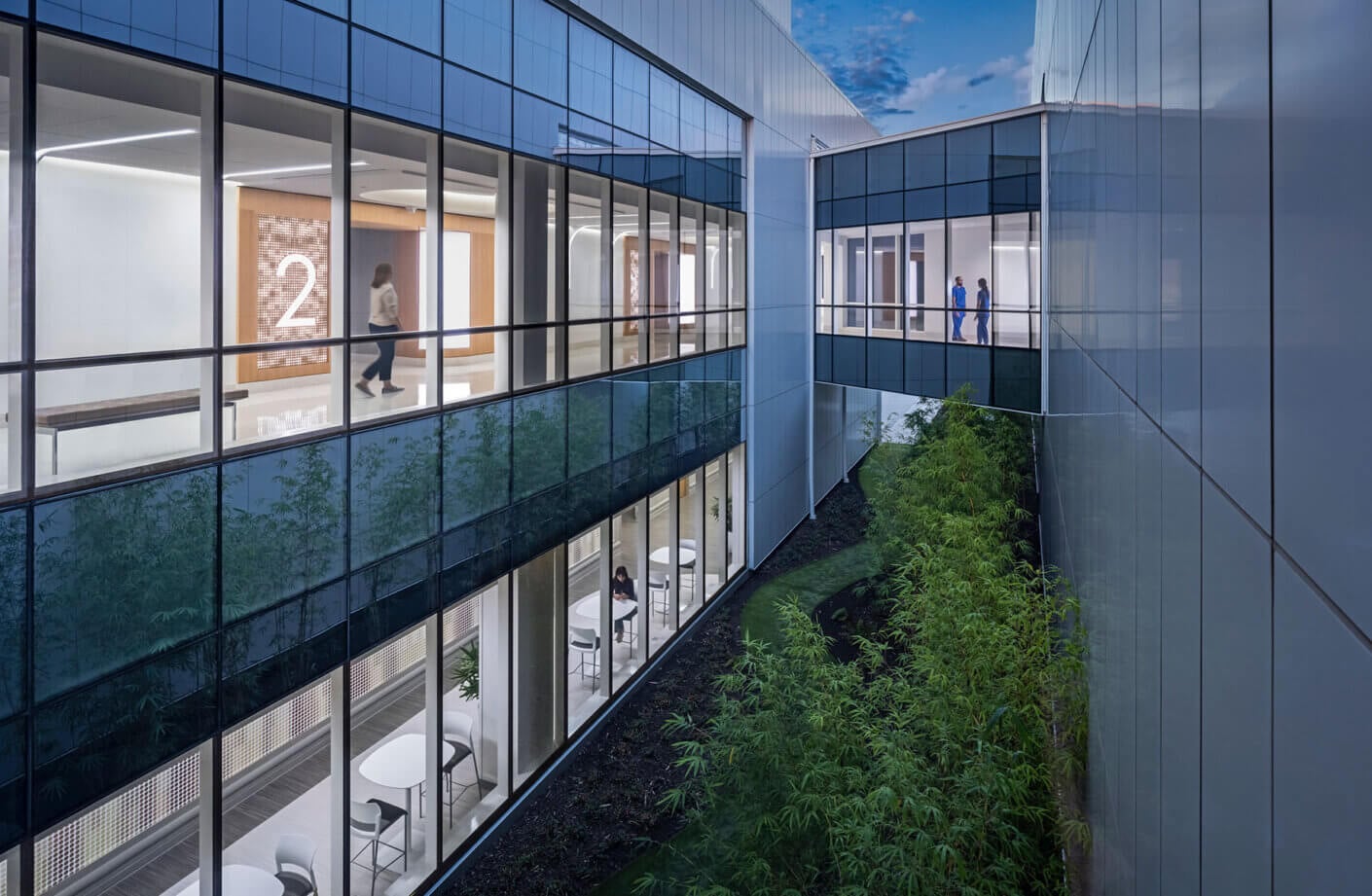 Interior courtyard view showcasing glass walls, people walking, and greenery, highlighting contemporary architectural design elements.