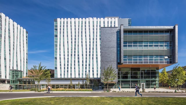vimeo placeholder image